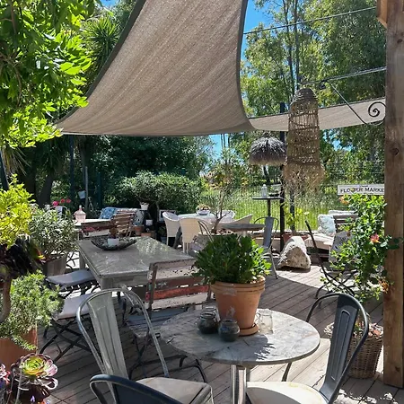 Provencale Saint-Raphaël